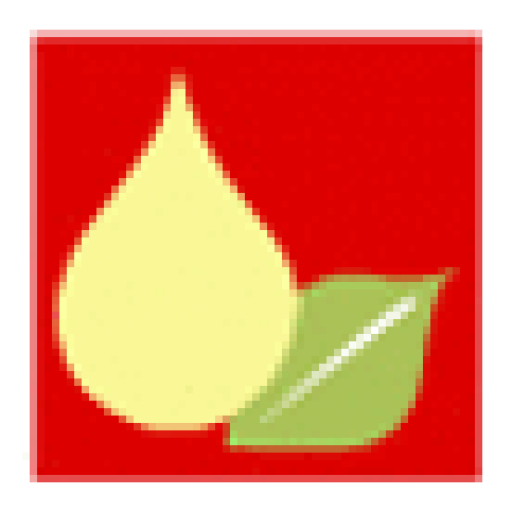 Punjab Chem & Crop Prot Share Price